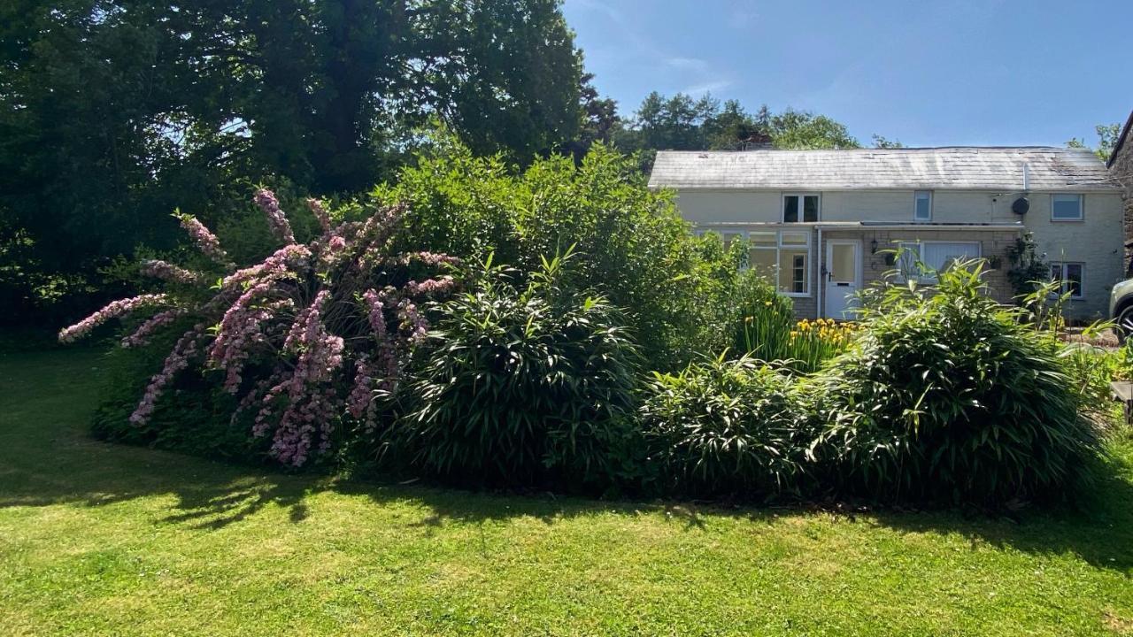 Silhouette Cottage Coleford  Exterior foto